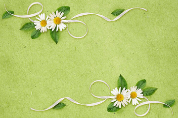 Paper background with daisy flowers and silk ribbon