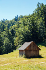 Wooden house and forest in Bled, Slovenia