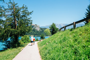 Peaceful Lake Bled road in Slovenia