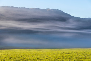 The plateau of Cansiglio