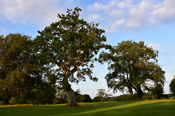 Castlewellan Forest Park