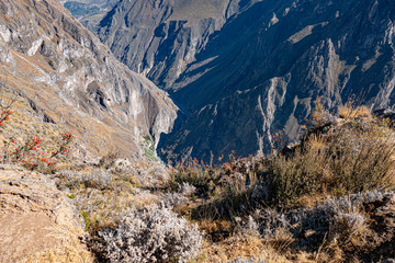  summit of Colca Canyon in Peru with spectacular view