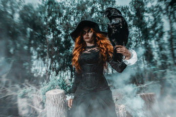 Fototapeta na wymiar raven and witch