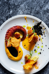 Close up on cooked and perfect served octopus tentacle. grilled octopus on white plate. Salad with octopus Appetizing fresh mediterranean seafood meal. Restaurant food style Food photography