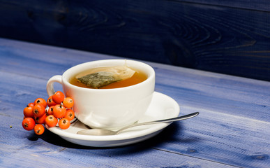 Health care folk remedies. Drink aromatic rowanberry beverage. Cup of tea on blue background close up. Gourmet delicious taste. Herbal tea. Ceramic cup hot fresh brewed tea beverage. Cafe menu