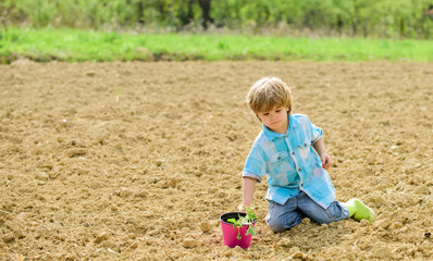Planting in field. Planting seedlings. Little helper in garden. Boy sit on ground planting flower...