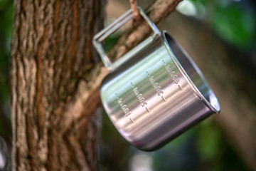 Metallic cup with scale hanging on tree branch