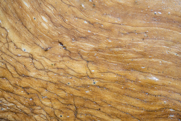Texture of muddy brown water 