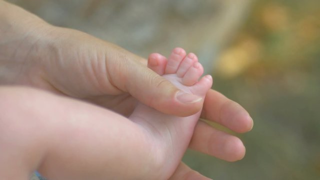 Baby Feet In Mother Hands