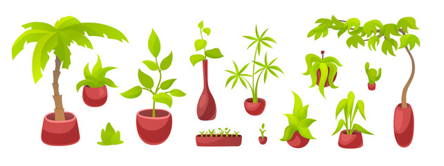 Vector set of home garden isolated objects