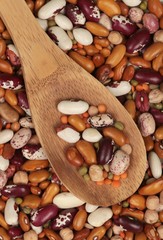 Mixed Raw Beans on Spoon
