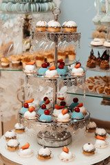Banquet table full of fruits and berries and an assortment of sweets. Stylish luxury decorated candy bar for the celebration of a wedding of happy couple, catering in the restaurant