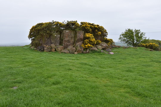  Megality Holestone
