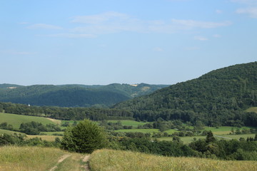 Fototapeta na wymiar view of the forests