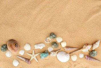 Fototapeta na wymiar Starfish and Shells on Sand