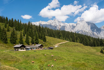 Fototapeta na wymiar Hiking in Hochkonig (Austria) between the snowy and green mountains of the Austrian Alps