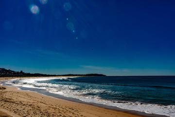 dee why beach