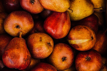 Crop of red pear. Fruit background. Garden harvest. Hello, Autumn. Place for an inscription. Boxes with pears. Fruitorianism. Healthy fruit. Natural source of vitamins.