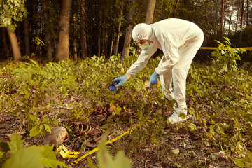 Older human remains found in forest - collecting of skeleton by police
