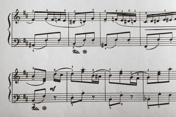 Fototapeta premium Music Notes on Staves Close-Up