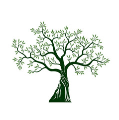 Olive tree on white background. Vector Illustration and concept pictogram.