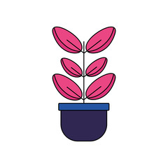 Isolated plant with leaves design