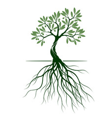 Olive tree on white background. Vector Illustration and concept pictogram.