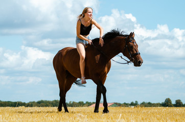 Pferd trägt Reiterin über ein Stoppelfeld