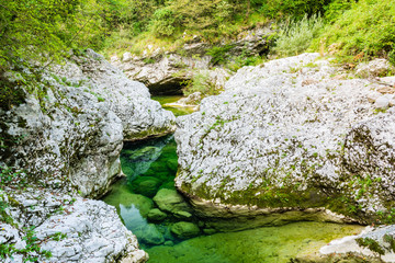 Emerald waters of the Cornappo stream. Udine, Friuli. Italy