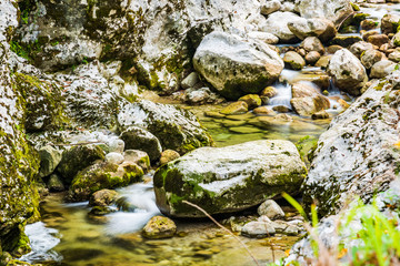 Emerald waters of the Cornappo stream. Udine, Friuli. Italy