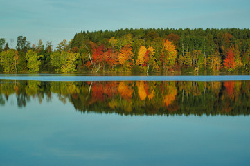 autumn landscape with trees reflecting in lake. River flow in lake