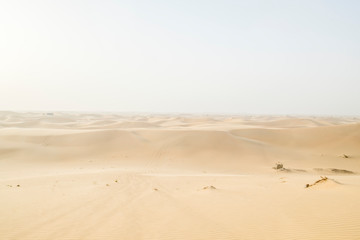 Abu Dhabi desert landscape at golden hour