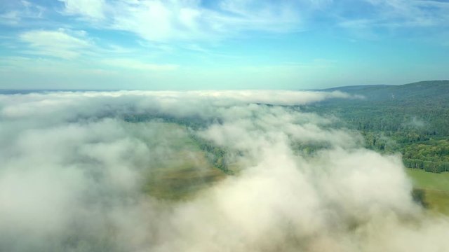 Flying over the terrain in the fog on an early sunny morning. Top view of agricultural fields and dense forest.