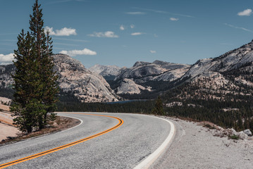 View of Tenaya Lake from Olmsted Point