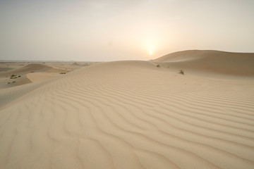 Sun set in dessert outside of Abu Dhabi with pink and red sky UAE 