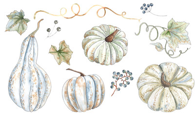 Watercolor autumn orange and green pumpkins with leaves