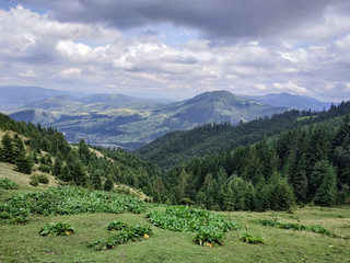 Beautiful mountains landscape in Carpathian