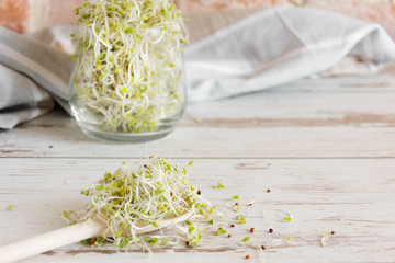 Mix of various sprouts on wooden background. Sprouted seeds. Healthy eating concept.