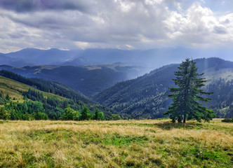 Fototapeta na wymiar Beautiful landscape of mountains with beautiful sky and clouds and a lonely spruce in the Carpathians