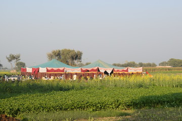 Pakistani Rural Wedding Tent
