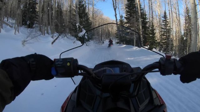 A fun shot of a family riding snowmobiles on a mountain road