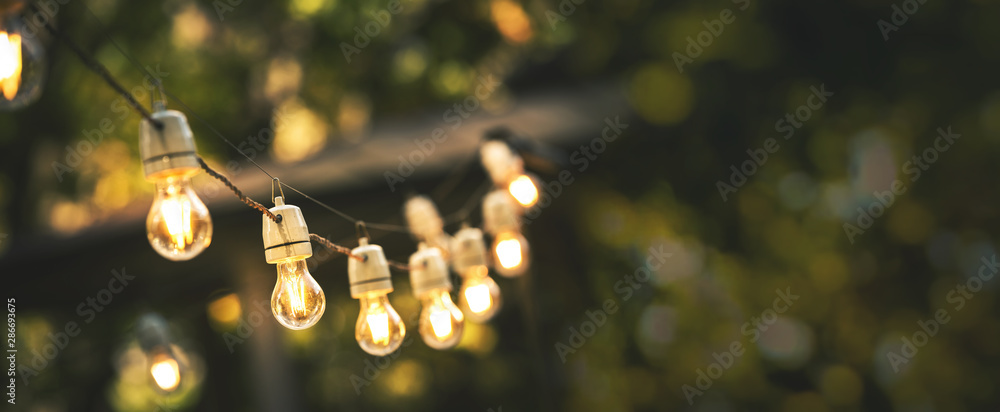 Fototapete outdoor party string lights hanging in backyard on green bokeh background with copy space