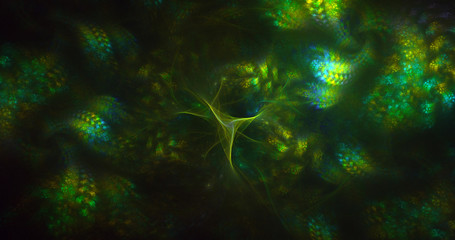 3D rendering multicolored abstract fractal on black background