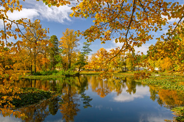 Beautiful autumn landscape. Yellow trees and blue sky reflected in calm water. Autumn park in the sunny day. Europe.