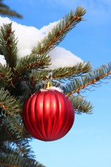 Red Christmas ball hanging from snowy evergreen tree branch outside with vibrant clear blue sky