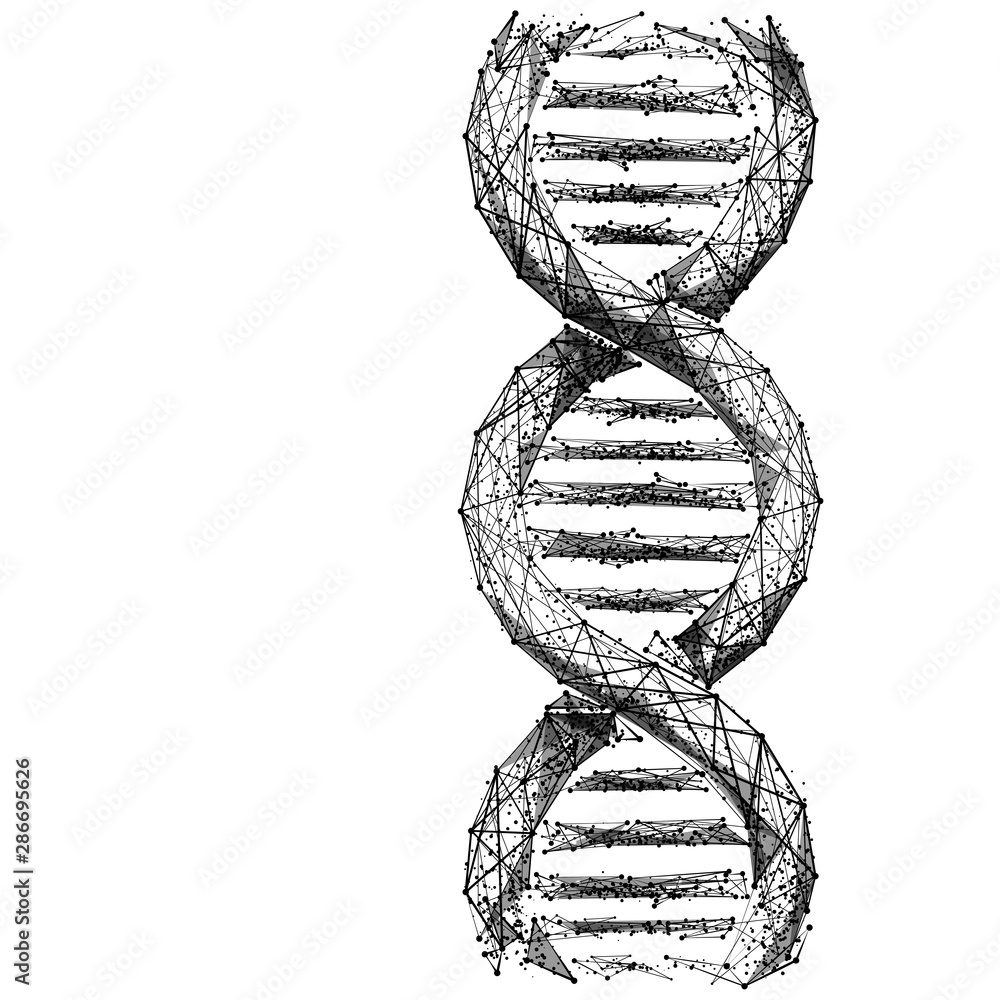 Poster DNA link. Science Technological concept. Polygonal abstract health illustration. Low poly black vector illustration on white background. Vector image in RGB Color mode.