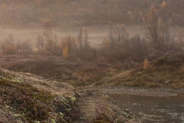 Ein Fluss im Morgenlicht in Norwegen
