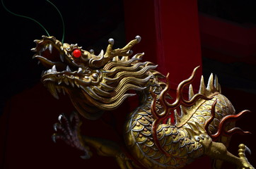 Chinese dragon on the dark background