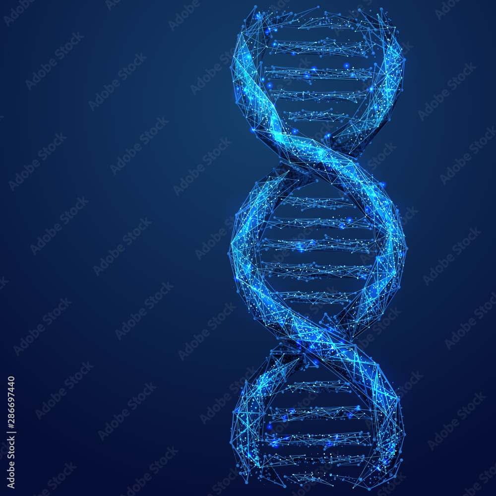 Wall mural dna link. science technological concept. polygonal abstract health illustration. low poly blue vecto