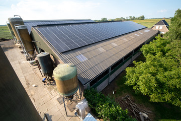 Modern farm with solar panels on the roof of a cowshed